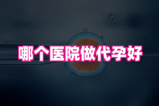 长春助孕网 1