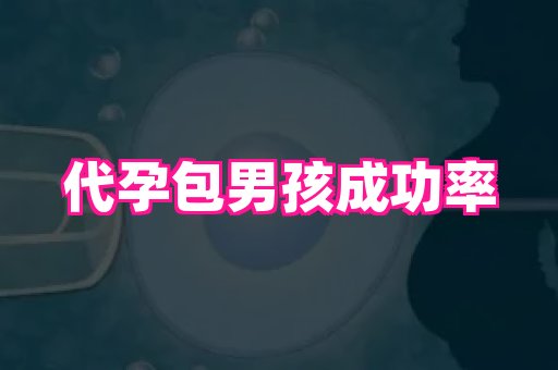 长春助孕网 3